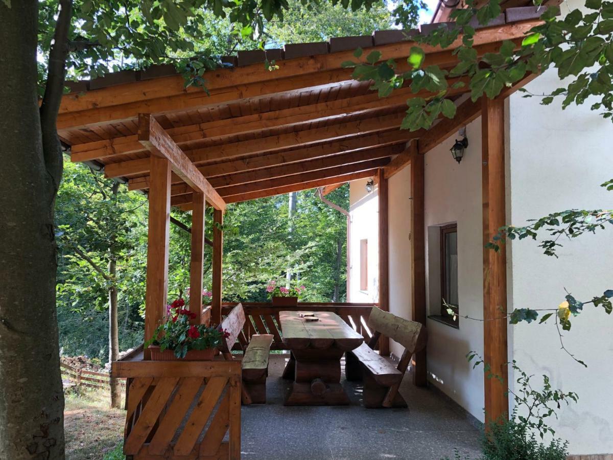 Casa De Vacanta Mogosa Baia-Sprie Exterior foto
